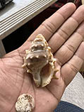 Buech_u3.jpg