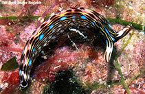 tn_Thbay_u0.jpg